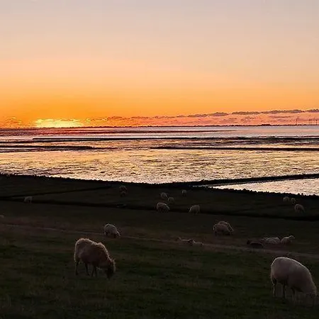 Urlaub-schoen-und-apart-i-hafennah-ruhig-gelegen Lejlighed